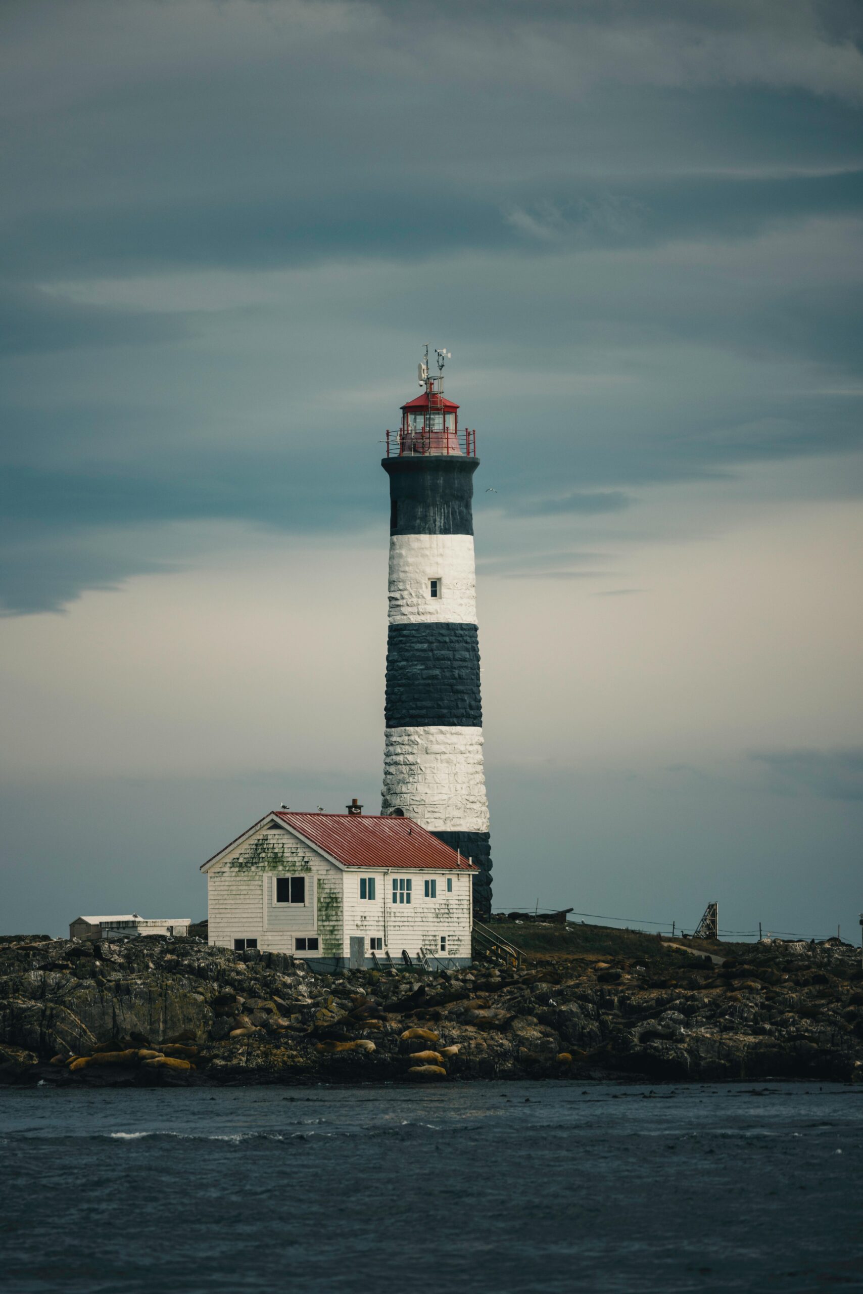 pexels-lureofadventure-35659899